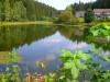 Mein Lieblingsbild-Ein Teich im Oberharz
